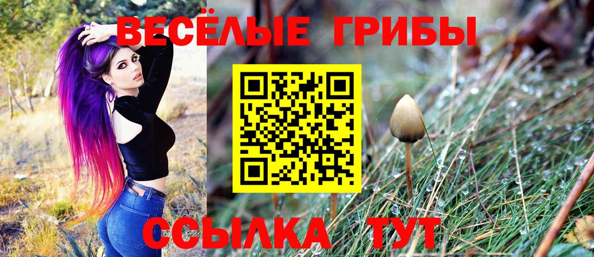 Псилоцибиновые грибы мухоморы Зерноград