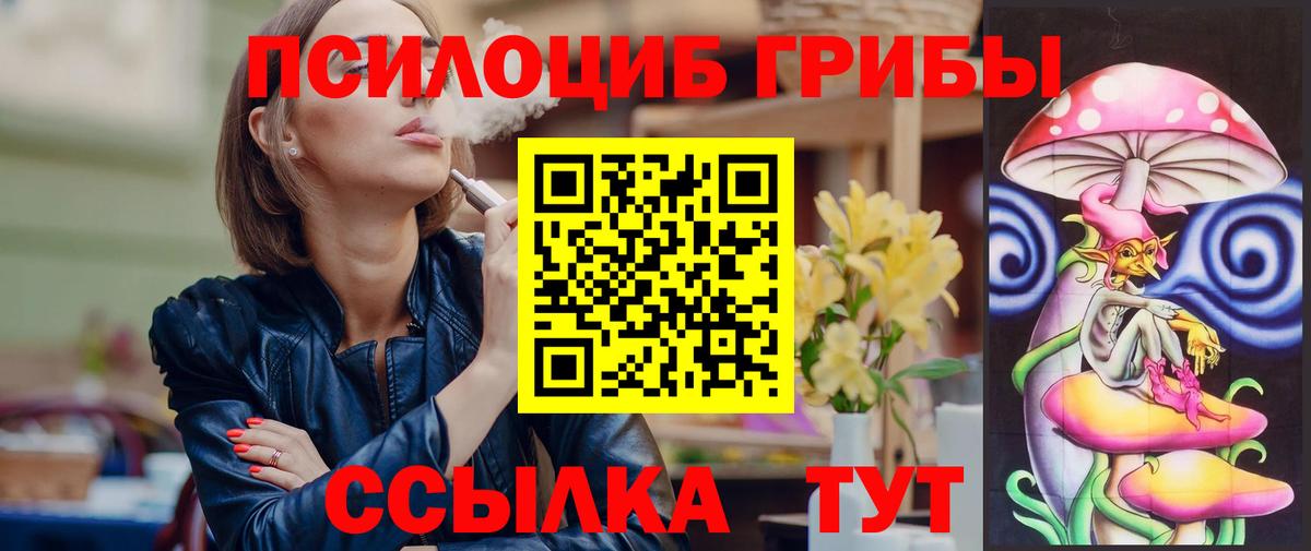 Зерноград  Псилоцибиновые грибы мицелий  Псилоцибиновые грибы Psilocybe  Вход с VPN 